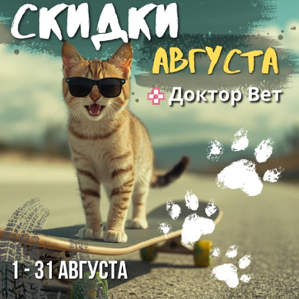 slider banner