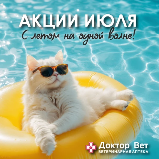 slider banner