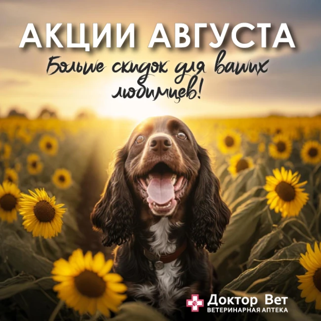 Балуйте своих любимцев с «Доктор Вет»!
