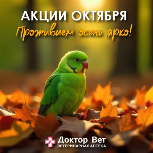 Забота о хвостиках вместе с «Доктор Вет»