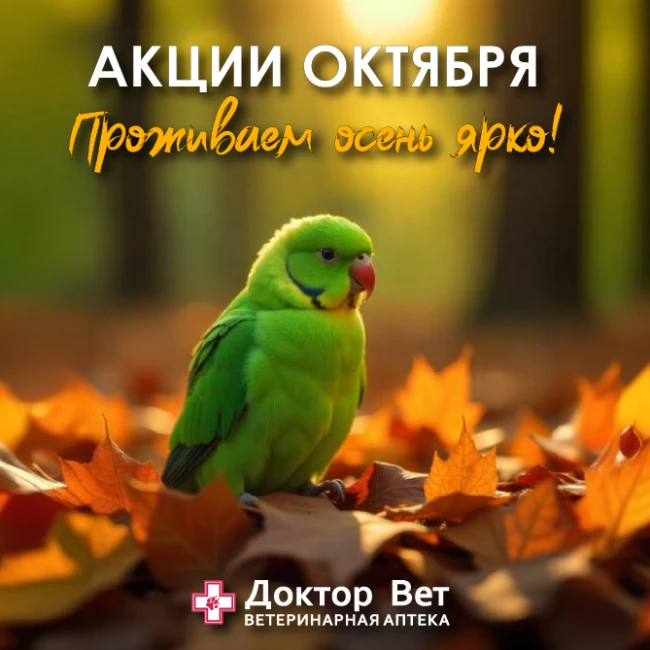 Забота о хвостиках вместе с «Доктор Вет»