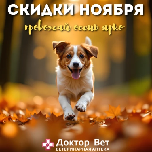 Для ваших хвостиков с любовью от «Доктор Вет»