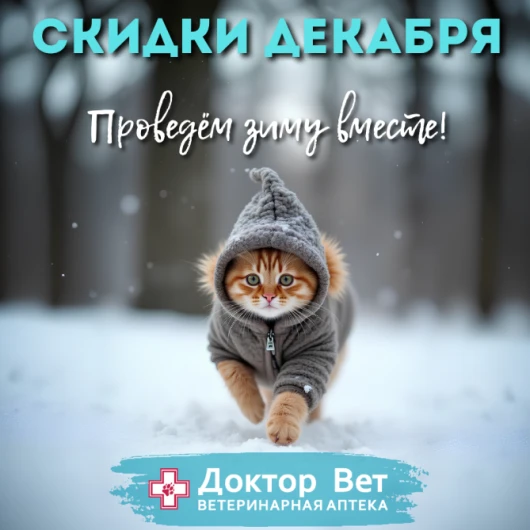 Встречаем новый год с «Доктор Вет»