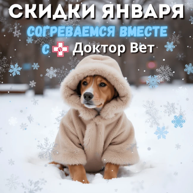 Согреваемся вместе с «Доктор Вет»