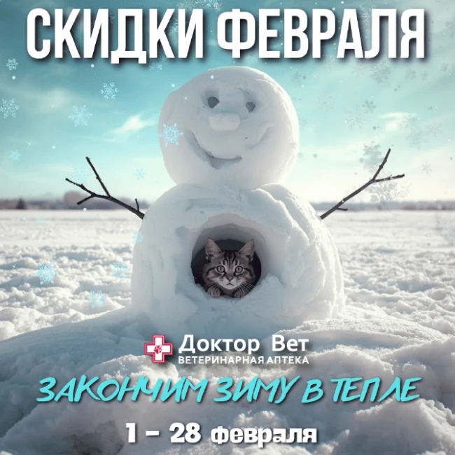 Продолжаем зиму с «Доктор Вет»!