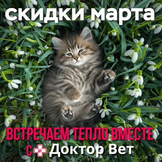 Встречаем весну вместе с «Доктор Вет»