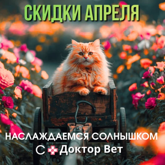 Наслаждаемся теплом с «Доктор Вет»