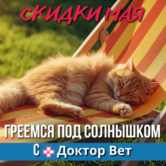 ЗаМАЯчило тепло в «Доктор Вет»!