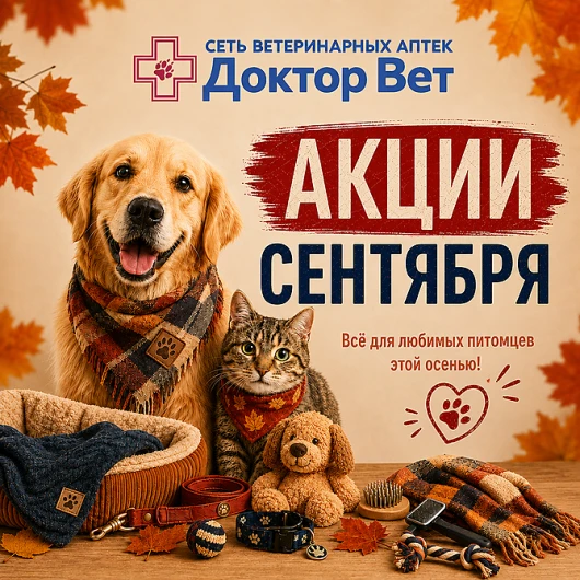 Осень начинается с заботы в «Доктор Вет»