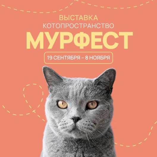 «МУРФЕСТ» в ТРЦ «ЧЕРВЕНСКИЙ»: мир кошачьего счастья уже здесь