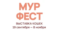 Выставка кошек «МУРФЕСТ»