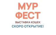 Выставка кошек «МУРФЕСТ»