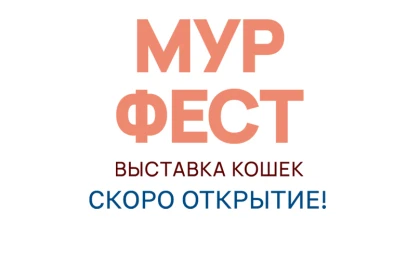  Выставка кошек «МУРФЕСТ»