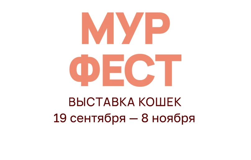 Выставка кошек «МУРФЕСТ»